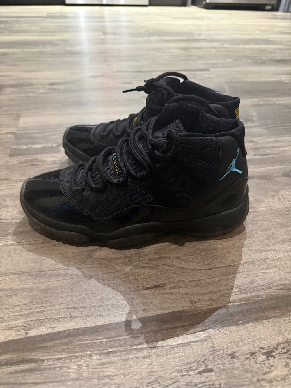 2013 Gamma Jordan 11’a